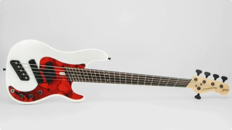 Dingwall SP1 5 bass guitar on a white background